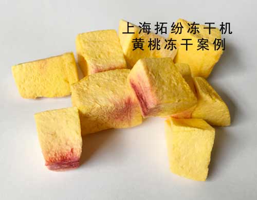 凍干桃 凍干桃
