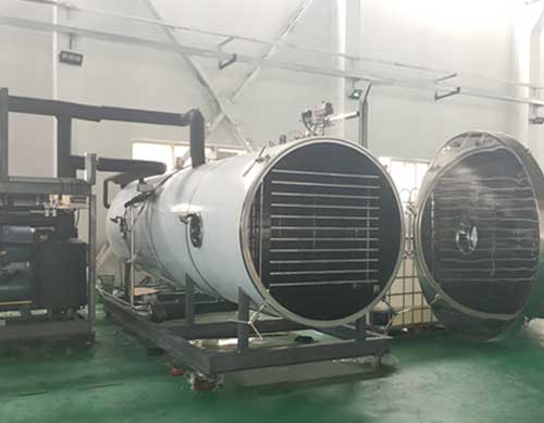 20平方凍干機 20平方凍干機