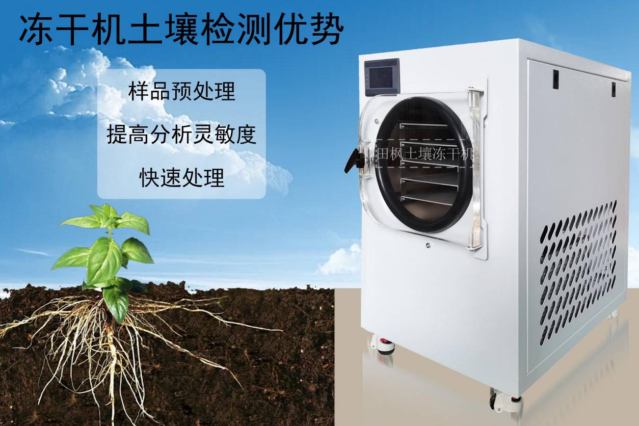 17332735974193.jpg 17332735974193.jpg