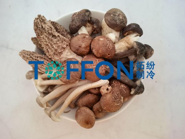 17492584064907.png 17492584064907.png