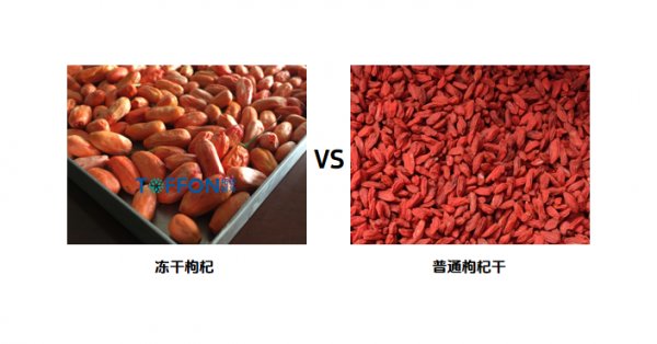 凍干寧夏枸杞,保留營養和鮮紅