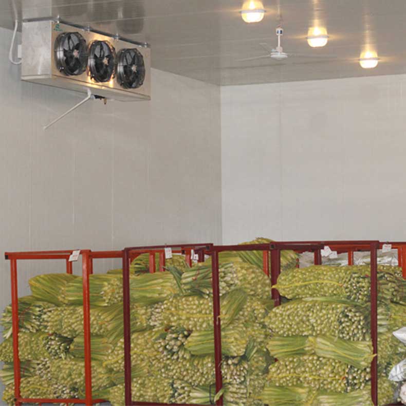 14627782186124.jpg 蔬菜冷庫.jpg