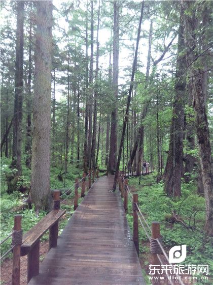 【團體專享】伊春、五營森林公園、湯旺河石林、嘉蔭茅蘭溝、恐龍地質(zhì)公園、雙臥5日清肺之旅