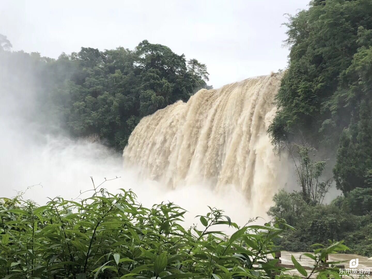 【暢享梵凈山】黃果樹(shù)大瀑布、西江千戶(hù)苗寨、荔波小七孔、鎮(zhèn)遠(yuǎn)古鎮(zhèn)、青巖古鎮(zhèn)、梵凈山、甲秀樓雙飛六日